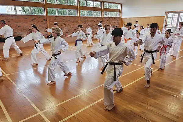 general class kihon kata kumite