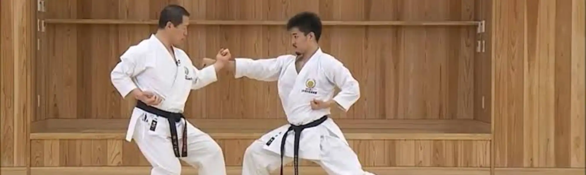 jo no kata banner_A jo no kata banner_A