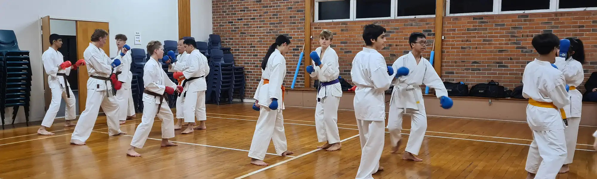 karate-sparing-kumite-takapuna karate-sparing-kumite-takapuna