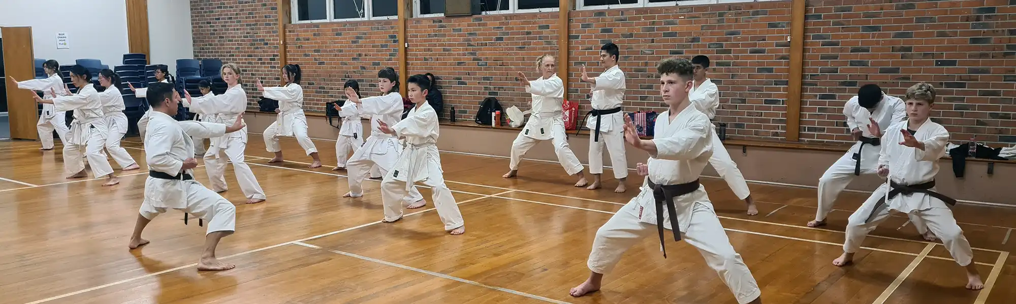 takapuna-karate-training-kihon-banner takapuna-karate-training-kihon-banner
