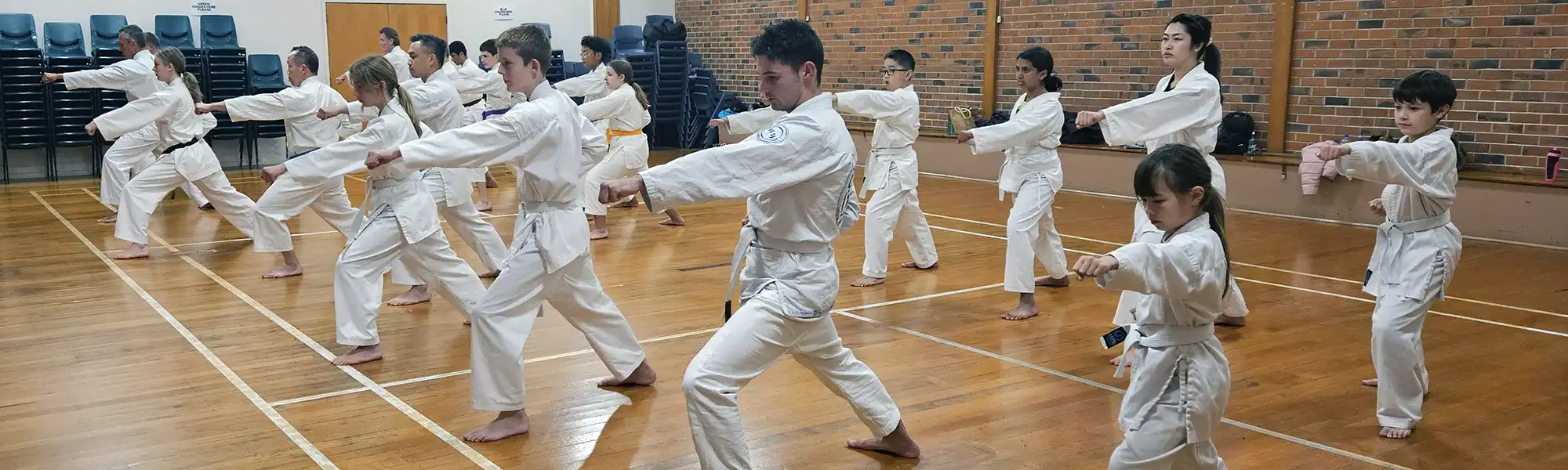 takapuna registration karate