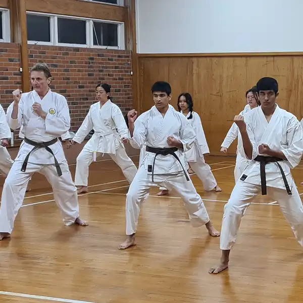 traditional shotokan karate traditional shotokan karate